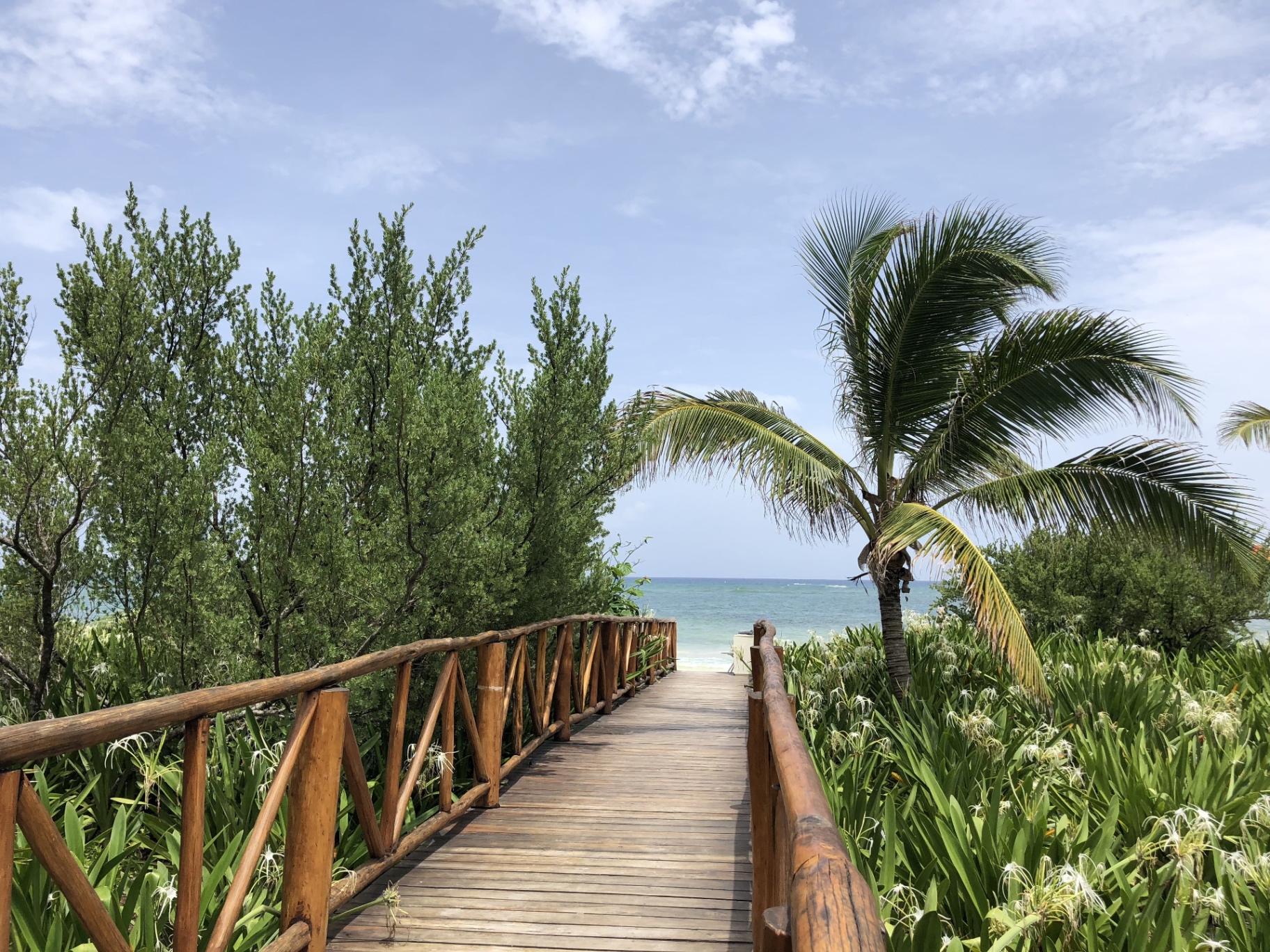 Boardwalk leading to the ocean at a resort