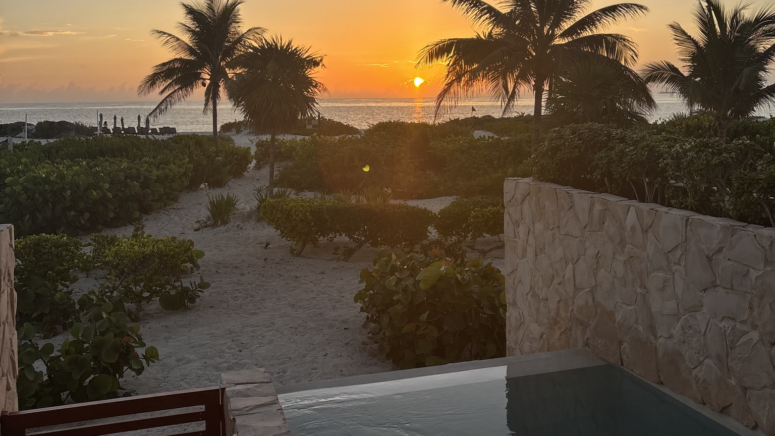 Palm trees against a golden sunset sky